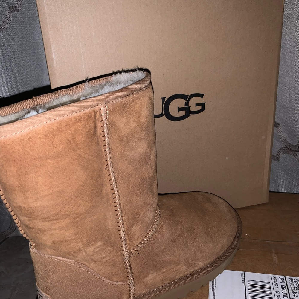 Like New Uggs. Kept In Storage. No Odor Size 8. N… - image 3